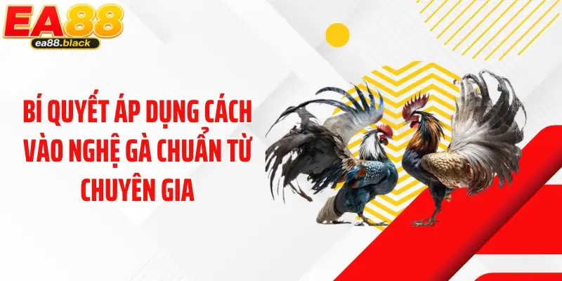 Bí quyết áp dụng cách vào nghệ gà chuẩn từ chuyên gia